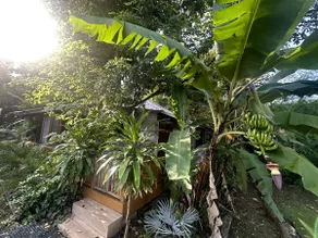 Cozy 1Br Negril Cabin with breathtaking Ocean View - Image 4