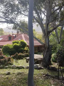 The Cottage @Bluey Blundstones - Image 4