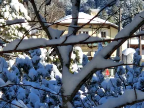 Feel-good-Appartement Bergsee FAMlLY *SUP for free - Image 4