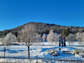 Exclusive Bergsee SUN appartement by Wildsee lake - Image 5