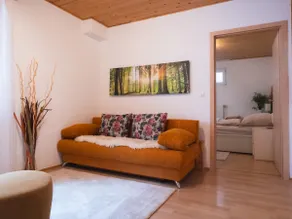 Beautiful small basement apartment & small garden area - Image 5