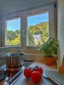 Cosy Atticstudio - View over Kinzigvalley - Image 3