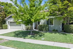5 Star! Gorgeous, Pet and Family Friendly Yard BBQ - Image 5