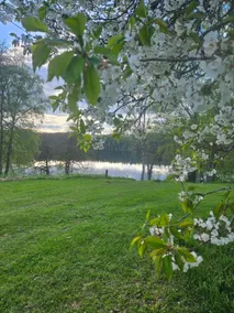 Peaceful Småland idyll by the lake - Image 2