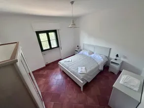 Mont - House surrounded by olive trees - Image 3