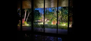 Surrounded by banyan trees and plants/relaxing - Image 3