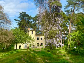 House by the lake and forest - Image 2