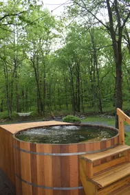 Designer A-Frame Cabin • Cedar Hot Tub - Image 4