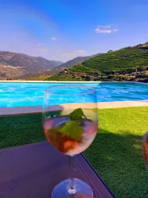 Maximus Douro - Family home - Image 2