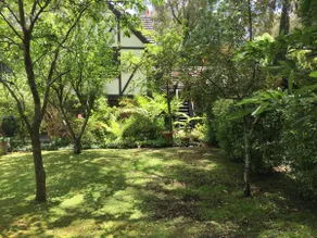 Honeymoon Suite in the Dandenong Ranges - Image 5