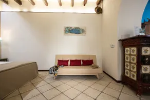 Syrakosia a Ortigia - Image 3