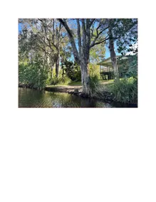 Noosa on the river in the bush with fishing kayaks - Image 2