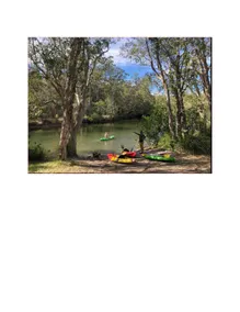 Noosa on the river in the bush with fishing kayaks - Image 3