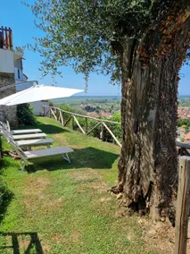 Chez Paul - Image 5