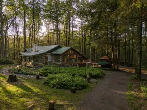 American Chestnut Log Cabin - Sauna, Hot Tub, Gym - Image 3
