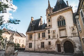 Balneotherapy house 2pl & garden Bourges @casaberruyere - Image 5