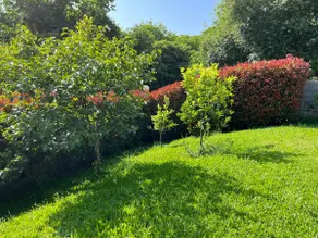 Exclusive house with pool in Gondomar - Image 5