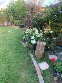 Private 1-Bedroom Villa with Pool & View in Kingston - Image 3
