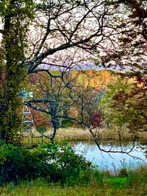 Escape this summer! Book a secluded mountain home - Image 4