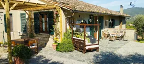 The House Among the Olive Trees - Image 2