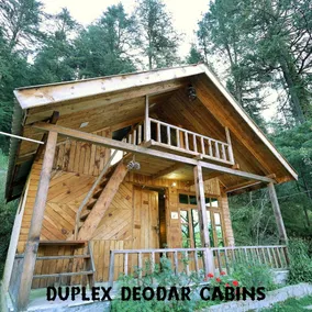 Himalayan Cedar Nest - Image 2
