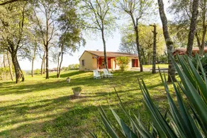 maison en Périgord proche Beynac et Sarlat - Image 4