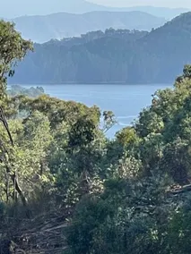 Private paradise with lake view (pet friendly) - Image 3