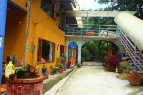 ”Amazonas” Ecopola - Image 3