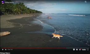 Casita de Playa - Image 2