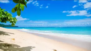 7 bdrs mansion• beachclub• private beach• SPA etc - Image 3