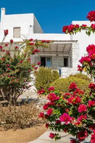 Thalatta Residence Paros - Image 5
