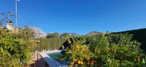 Cortijo La Laguna 2 (sleeps 4) - Image 5