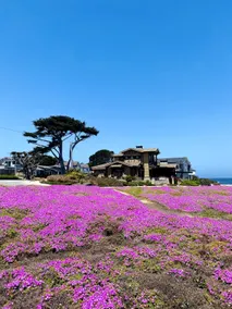 Home away Home 家 - Image 5