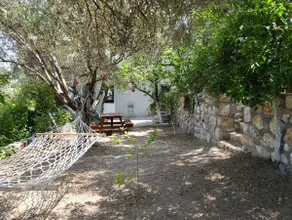 Zeytinli mansion - Kösedere vacation home - Image 4