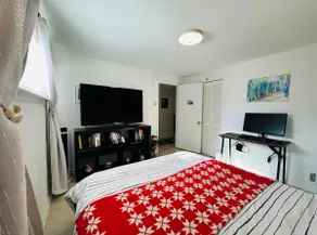 Spacious Private Lower Level Suite w/ Fast WiFi - Image 2