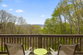 Lookout Mtn View! Steam shower + fenced yard - Image 4