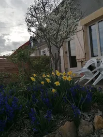 ”at Marie and Lulu's” - Image 3