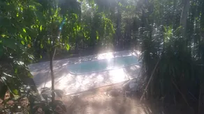 Tree house in the forest - Image 3