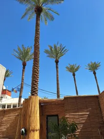 House in Al-Mansour, Al-Amirat Street - Image 3