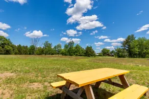 Rural Home on Farm, Firepit, 40 min to Dells - Image 4