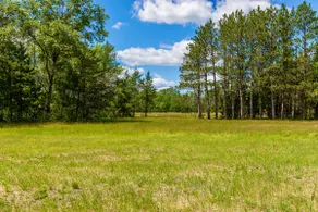 Rural Home on Farm, Firepit, 40 min to Dells - Image 3