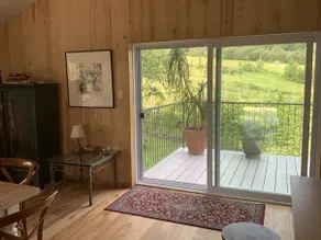 Beautiful open space in our Apalachian vineyard - Image 3