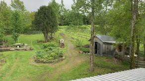 Beautiful open space in our Apalachian vineyard - Image 5