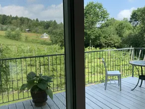 Beautiful open space in our Apalachian vineyard - Image 4