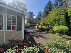 ”De Lierderhut” Cottage - Image 2