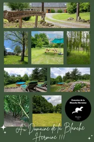 Cornouaille - large space - swimming pool - RN 12 in 5 minutes - Image 3