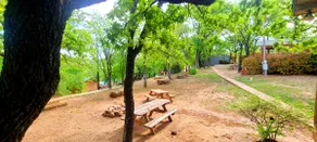 The Overlook at Northside Marina & Resort - Image 3