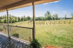 Cozy Vineyard Cottage w/ BBQ & Scenic Views - Image 2
