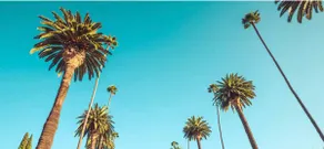 PRIME Beverly Hills Living By RODEO Dr W/Parking! - Image 2