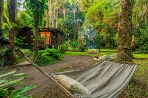 Modern Eco Cabin surrounded in Rainforest - Image 3
